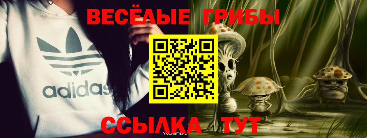 Псилоцибиновые грибы MAGIC MUSHROOMS  Вход с VPN  Иваново 